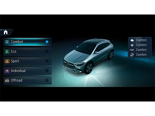 GLA DYNAMIC SELECT（ダイナミックセレクト）