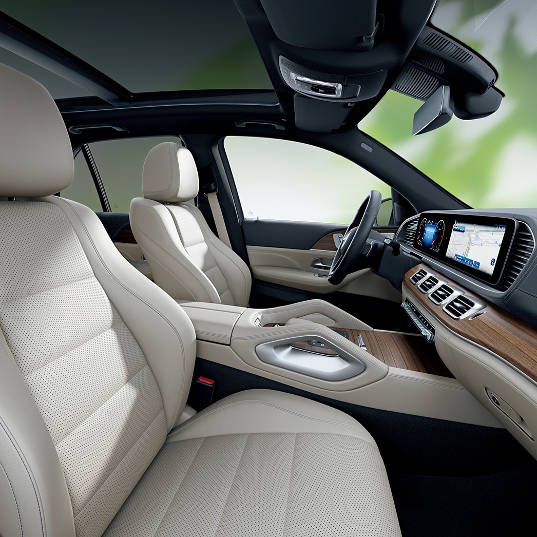 The GLE
