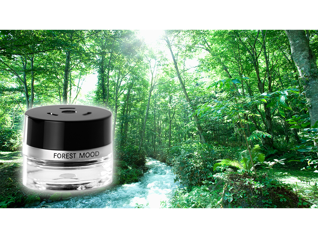 FOREST MOOD FOREST MOOD