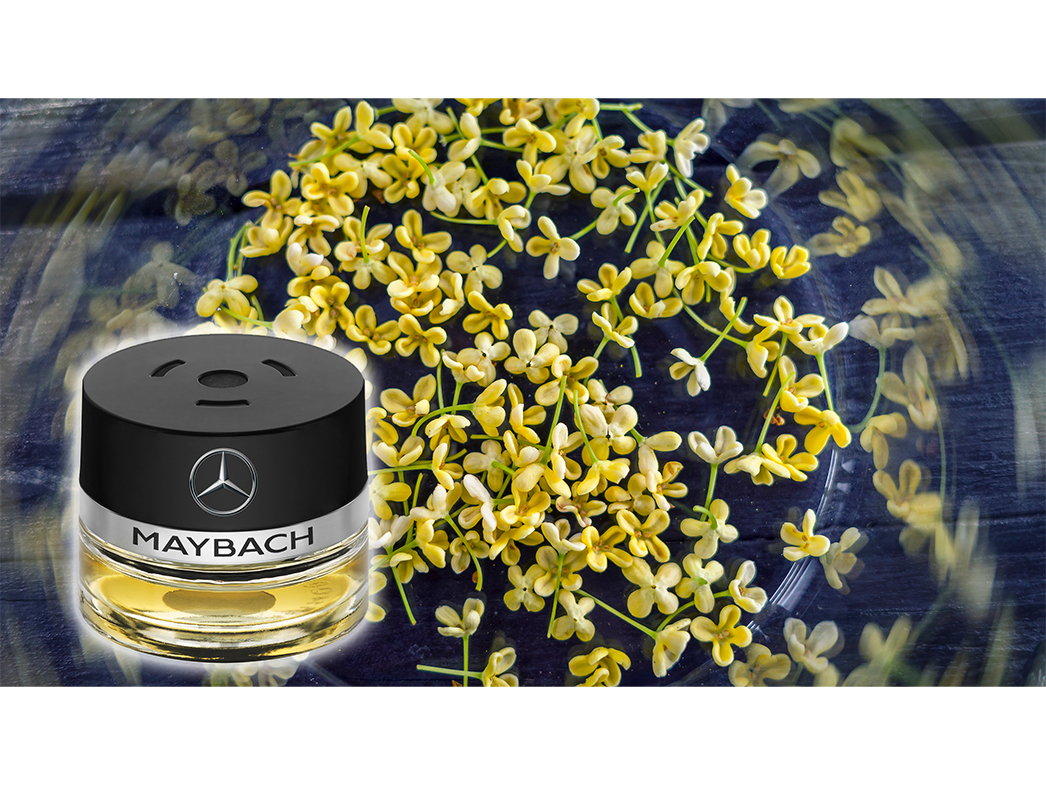 No.12 MOOD No.12 MOOD