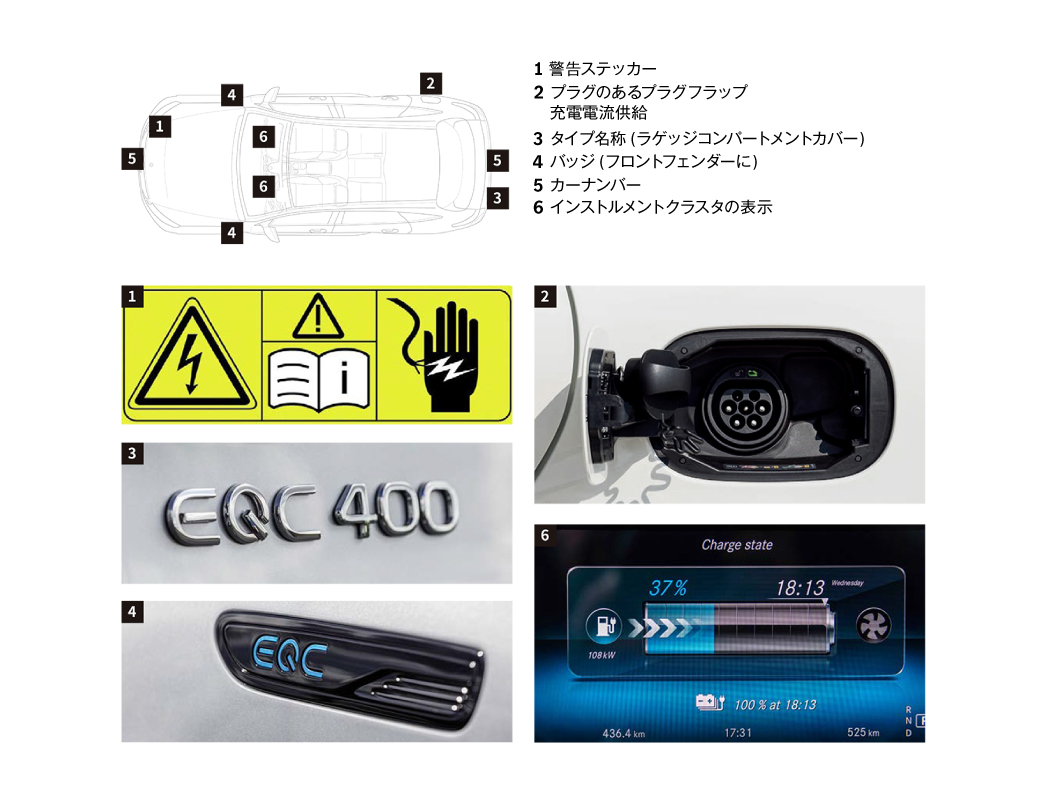 レスキュー隊向けガイドライン レスキュー隊向けガイドライン