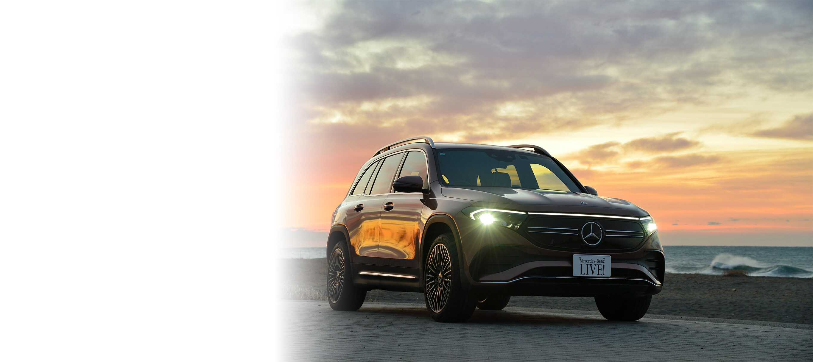 F.29様ピュアスポーツ20本セット