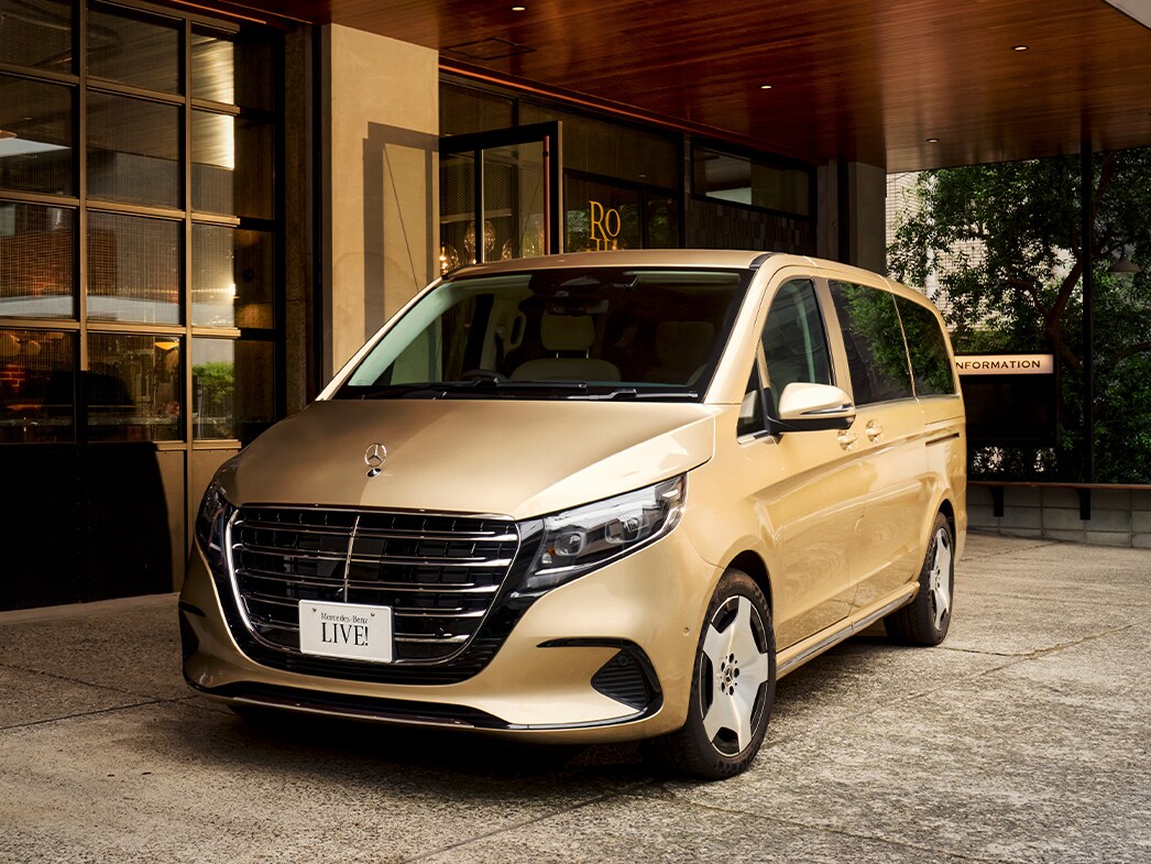 V 220 d EXCLUSIVE long Platinum Suite