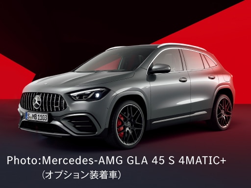 2025年 THE WORLD OF AMG カレンダー　メルセデスベンツ Chase those 2025 thrills with the world of AMG wall calendar