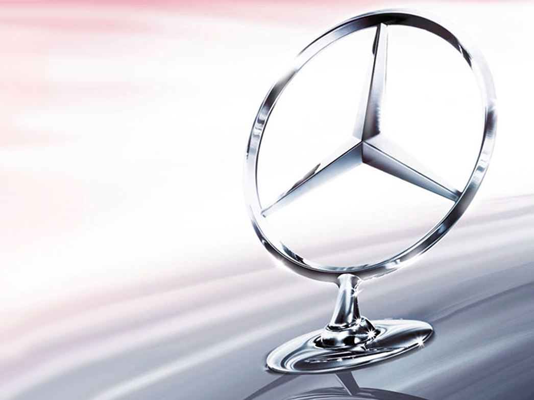 ブランド活動 ブランド活動