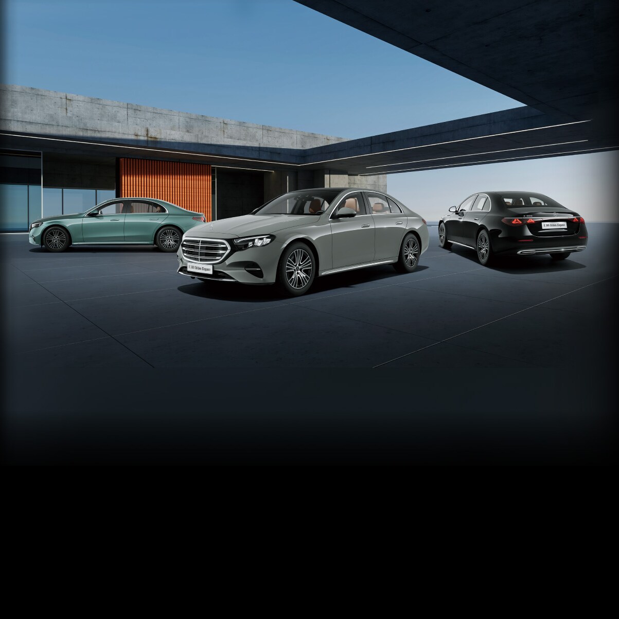 E 300 Edition Elegance（ISG）