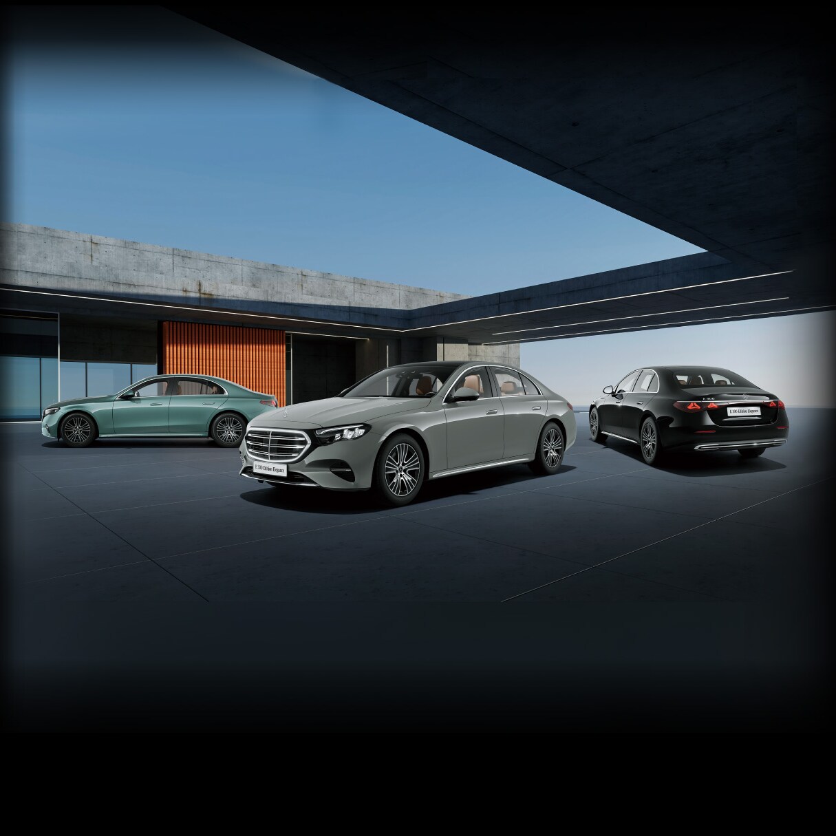E 300 Edition Elegance（ISG）